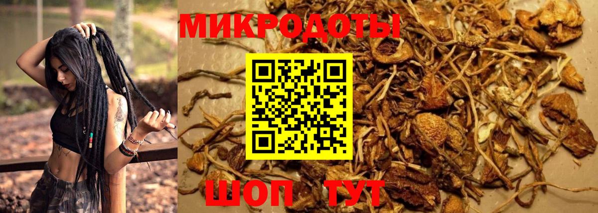 Костомукша  где найти   Галлюциногенные грибы ЛСД  Вход с VPN  Псилоцибиновые грибы Psilocybine cubensis 